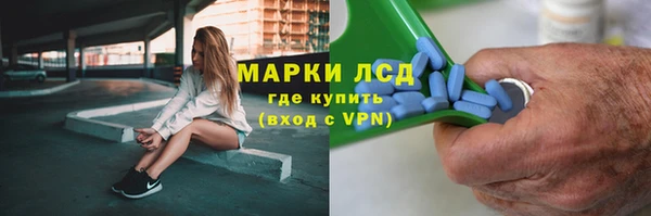 индика Абинск
