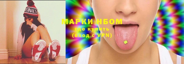 хмурый Сатка
