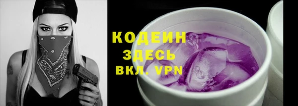 хмурый Сатка