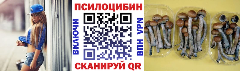Псилоцибиновые грибы GOLDEN TEACHER MEGA зеркало Истра